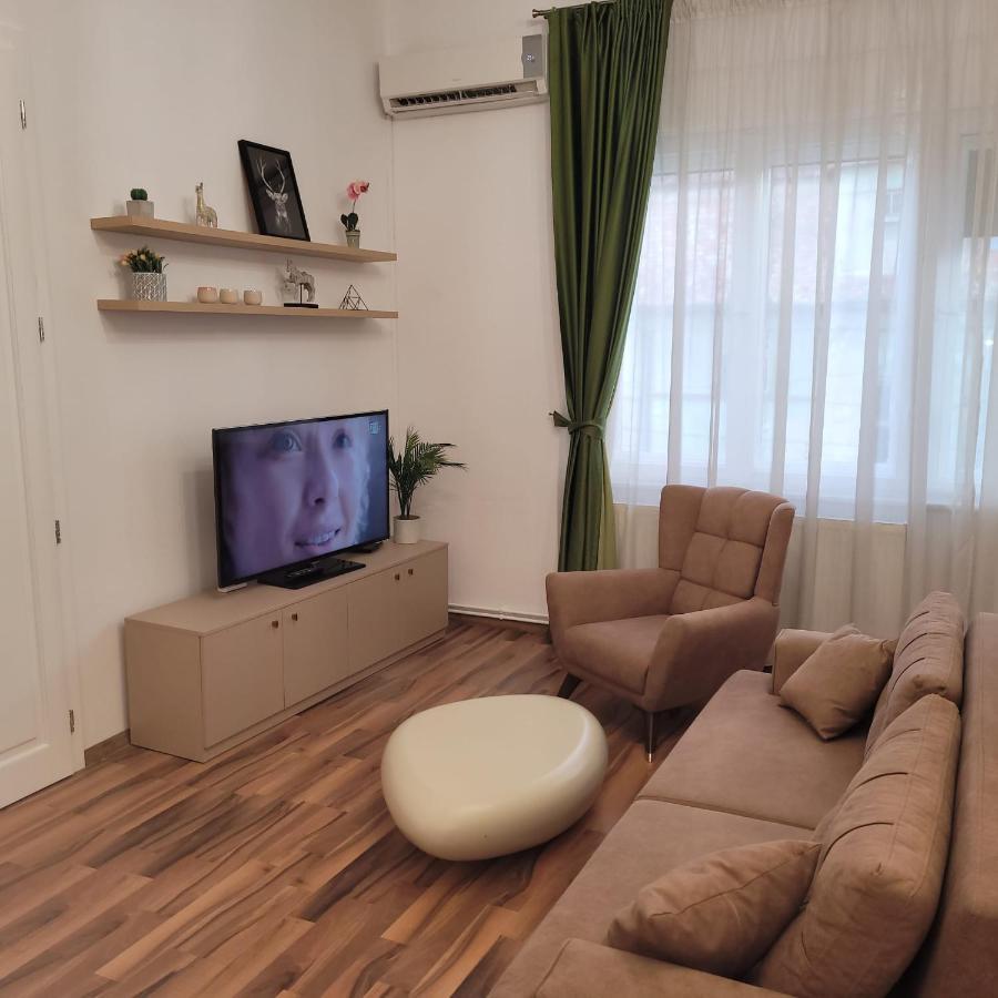 B8 - Spacious, Charming Apartment In Central Σίμπιου Εξωτερικό φωτογραφία